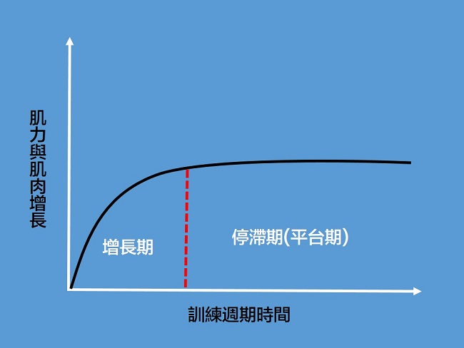 身體適應訓練後就會進入平台期