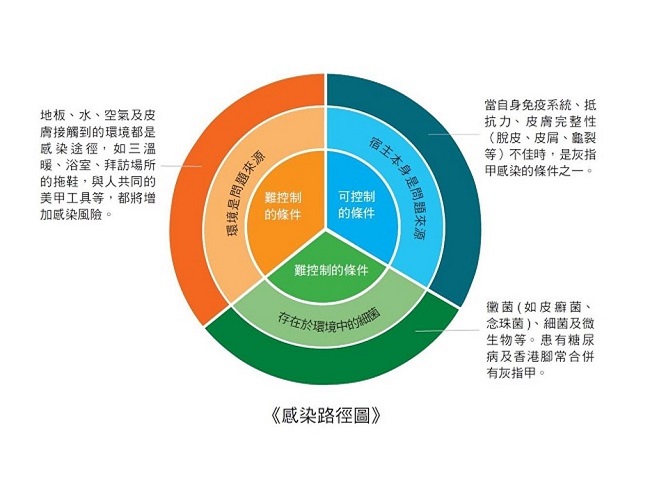 灰指甲感染途徑
