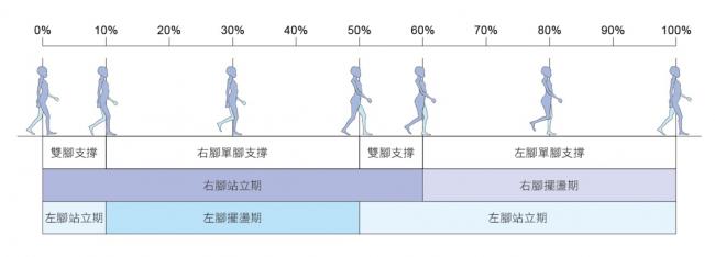 行走的步態
