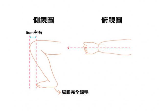 足背屈的程度