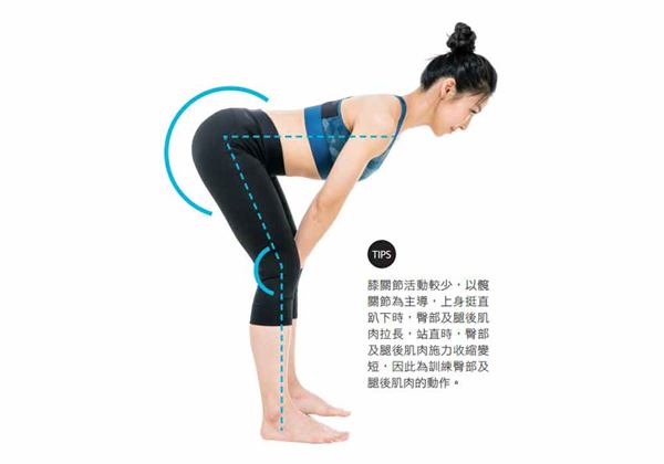 髖屈運動