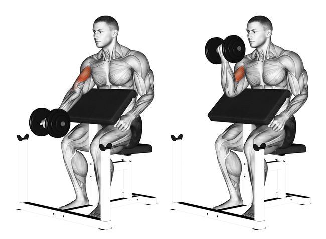 斜板屈臂Preacher Curl