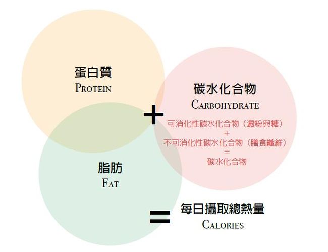 三大營養素的攝取量