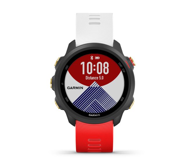 Forerunner 245Music前進東京 信念版