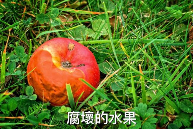 外力造成損傷的痠痛區