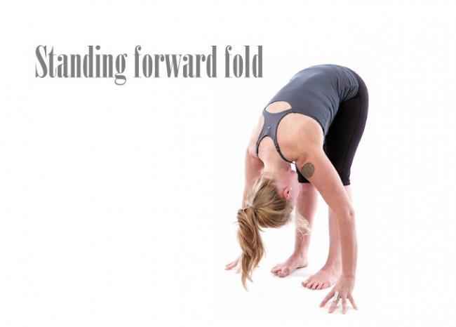 Standing forward fold 站姿前彎式