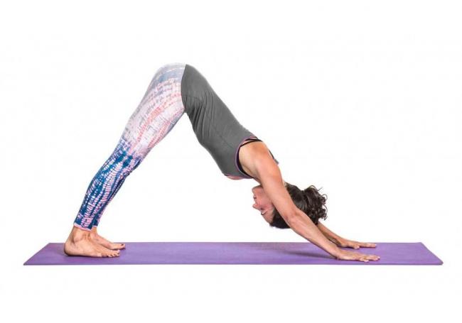 下犬式 Downward-Facing Dog