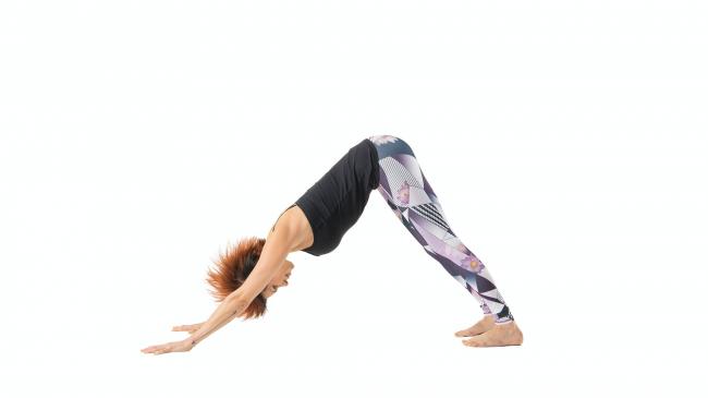 下犬式 Downward facing dog