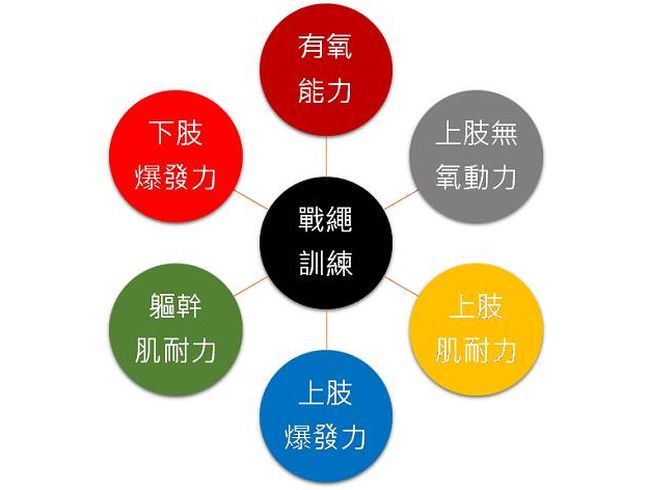  戰繩訓練具有多元效果   