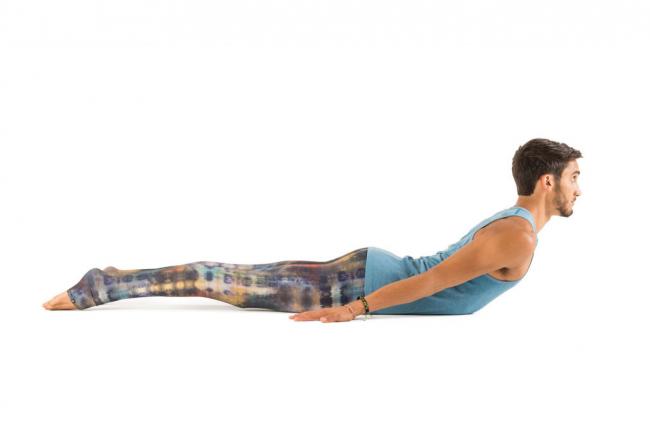 蝗蟲式 Locust Pose