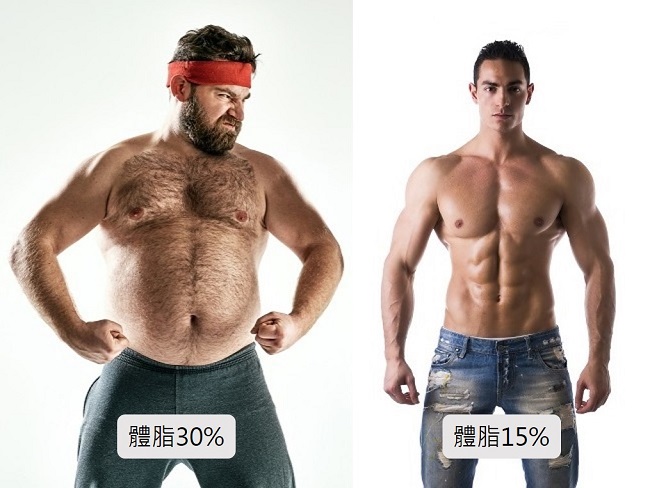 體脂高與低的差異