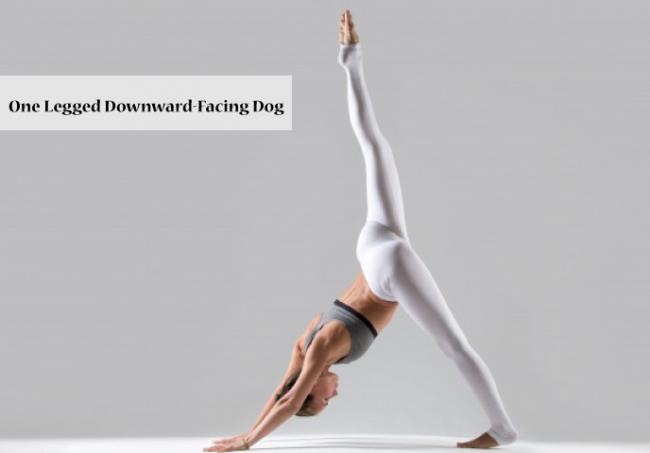 One Legged Downward-Facing Dog