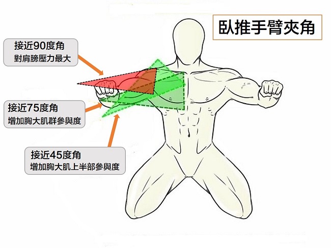 臥推常見的三個手臂夾角