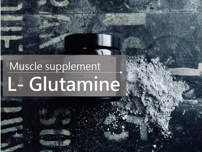 L- Glutamine能保護肌肉