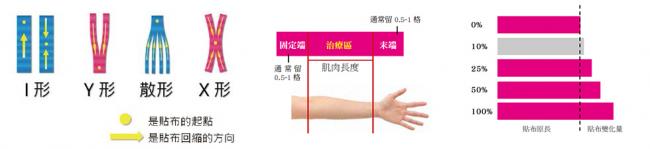 肌能系貼紮操作原則