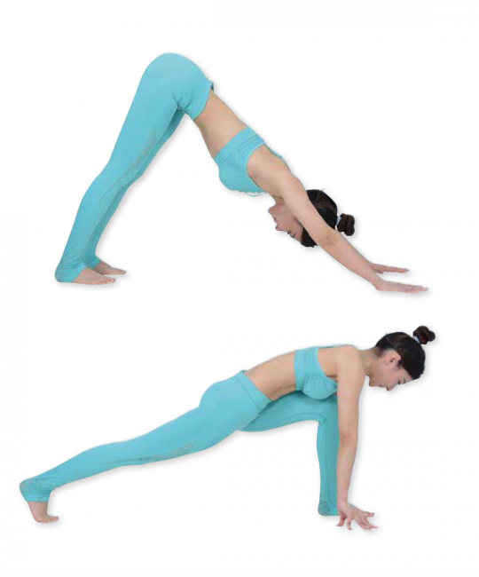 高弓箭步 Utthita ashwa sanchalanasana