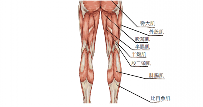 4 CORE YOGA 四核心瑜伽