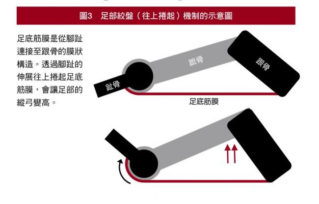 足部絞盤機制
