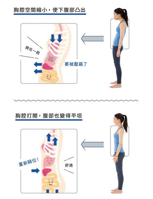 胸腔空間導致下腹凸出