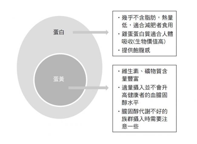 蛋白與蛋黃的營養成分