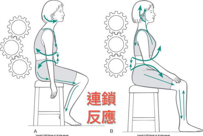 骨盆滾動法的連鎖反應