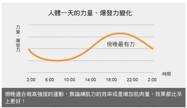 人體一天的力量、爆發力變化