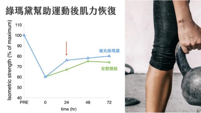 綠瑪黛幫助運動後肌力恢復