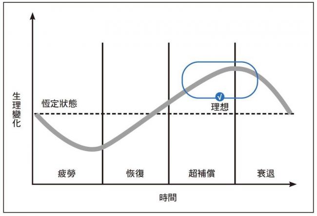 訓練後生理隨著時間的變化