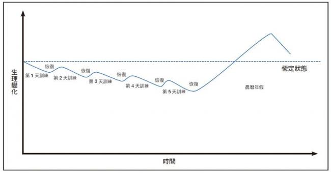 連續訓練5天後有一段長時間休息的生理變化圖