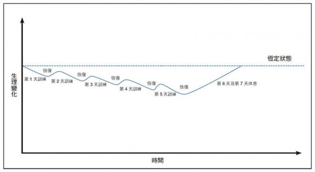 一週每天訓練，只有週末休息的生理變化圖