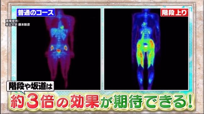 圖片中紅色部分代表肌肉有被使用。左右兩張圖都是步行20分鐘的結果，但右邊是加入了梯級上下的結果，可見走樓梯或者斜坡所得的效果是同時間走平路的3倍之多