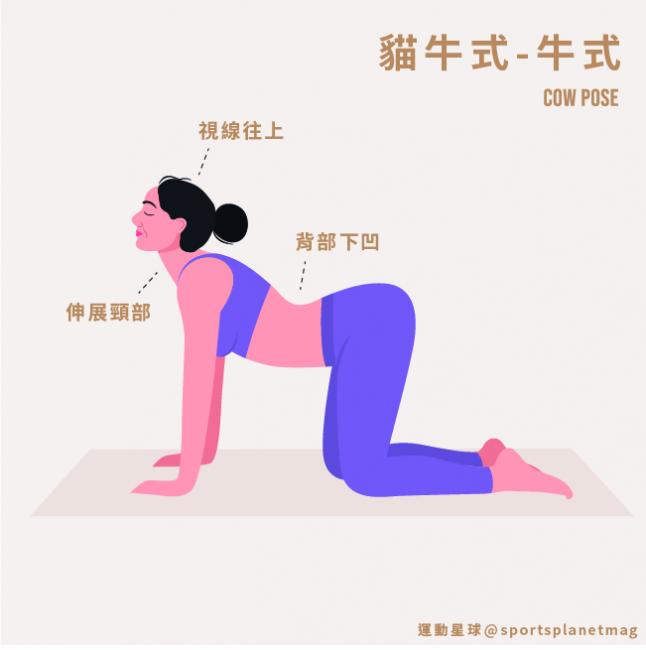 牛式