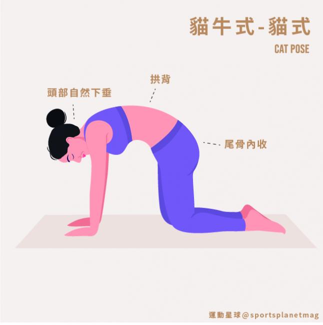 貓式