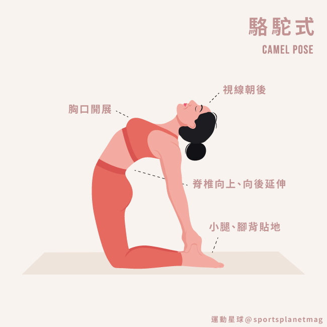 駱駝式 Camel Pose