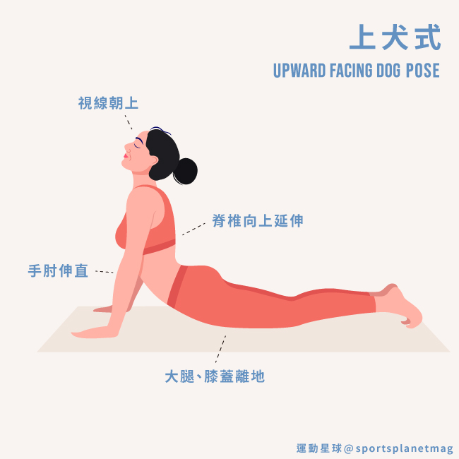 上犬式 