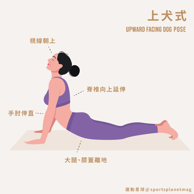 上犬式 