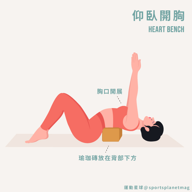 仰臥開胸 Heart Bench