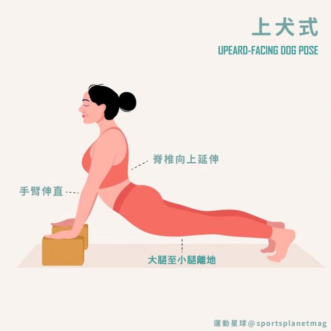 上犬式 Upward-Facing Dog Pose