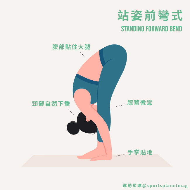 站姿前彎式 Standing Forward Bend