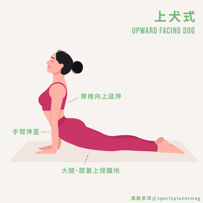上犬式 Upward Facing Dog
