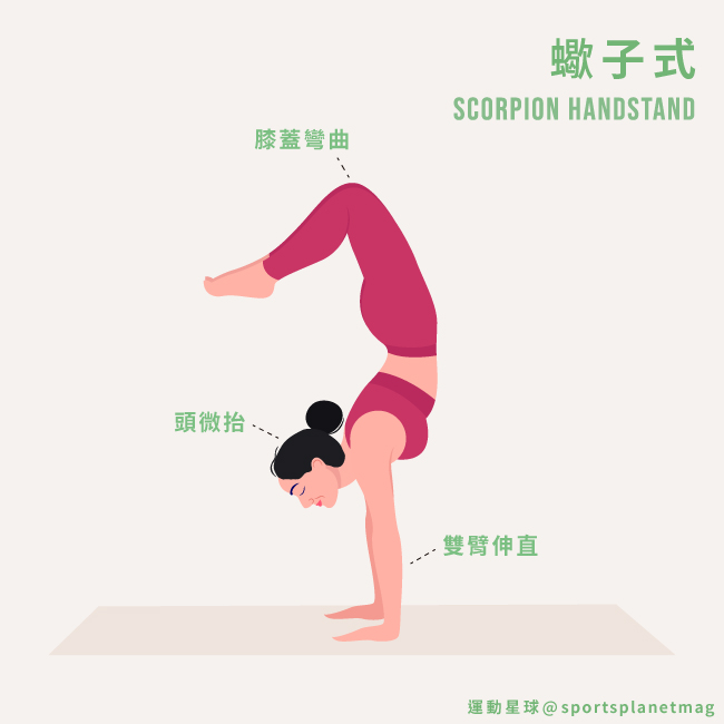 蠍子式 Scorpion Handstand