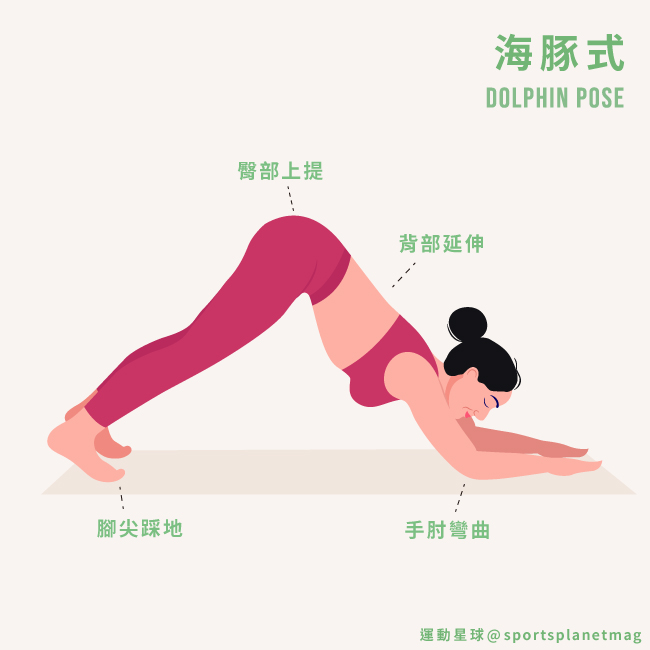 海豚式 Dolphin Pose