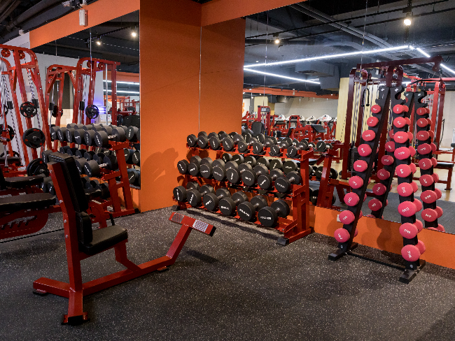 城市健身City Fitness