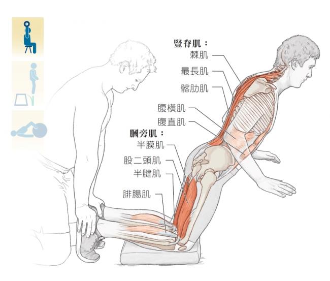 北歐式腿後彎舉