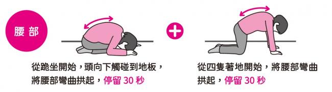 骨盆前傾腰部訓練